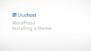 Video Thumbnail: How to Install a Theme in WordPress